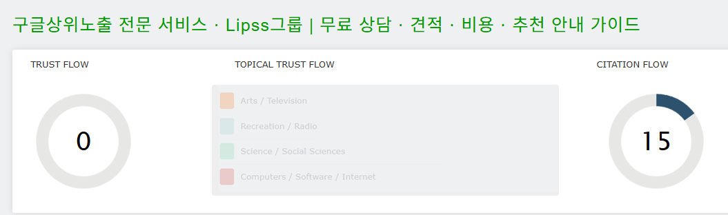구글 상위노출 툴 2